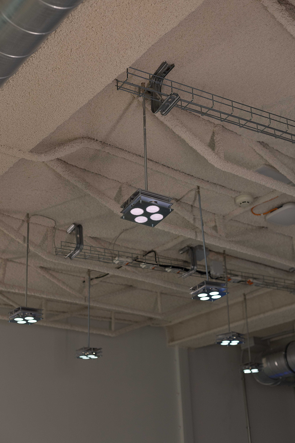 Red Bull Spain - Level 1 Detail Lamps rel=